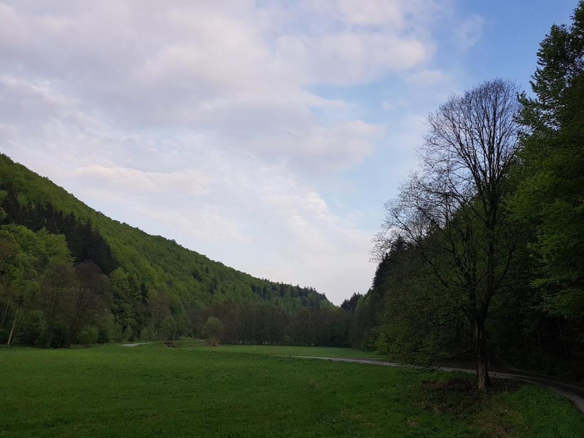 Schupplerova Vila Hostejn Экстерьер фото