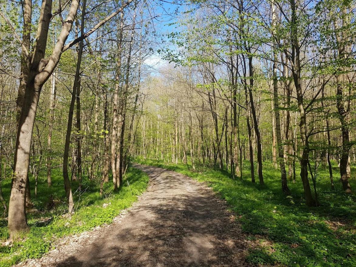 Schupplerova Vila Hostejn Экстерьер фото