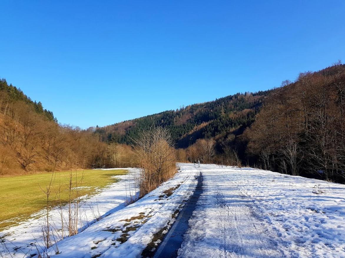 Schupplerova Vila Hostejn Экстерьер фото
